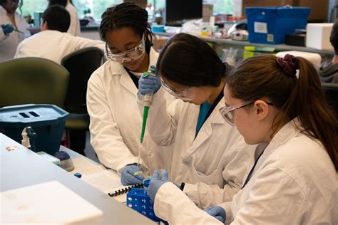 Engineering Summer Academy Program Bold Summers Engineering Summer Academy Program Bold Summers