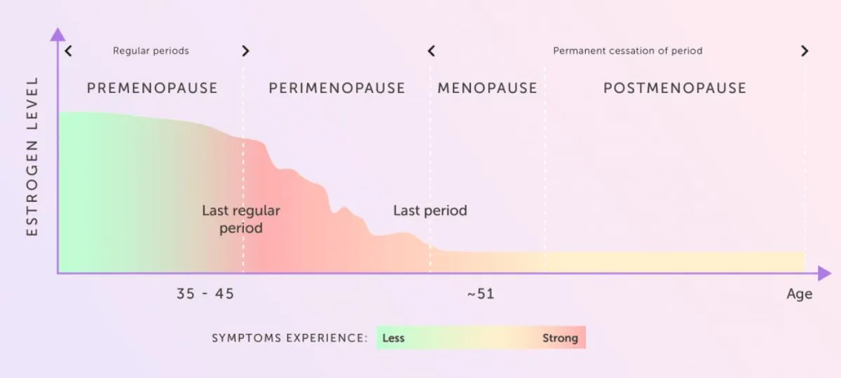 FSH Levels During Menopause
