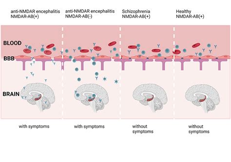 NMDAR Encephalitis Symptoms