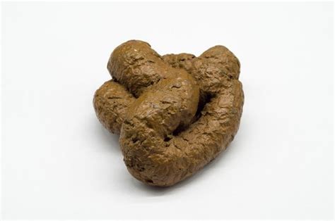 Popo Police Meaning Explained