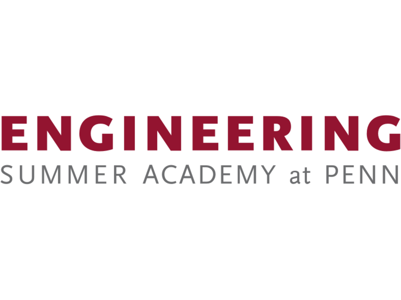 UPenn Summer Engineering Program
