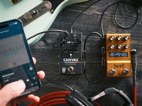 Walrus Art on Canvas